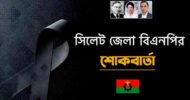 বিশ্বনাথ উপজেলা বিএনপি নেতা মোজাহিদ আলীর মৃত্যুতে সিলেট জেলা বিএনপির শোক