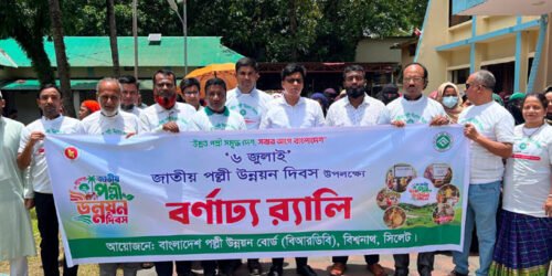 বিশ্বনাথে জাতীয় পল্লী উন্নয়ন দিবস পালিত